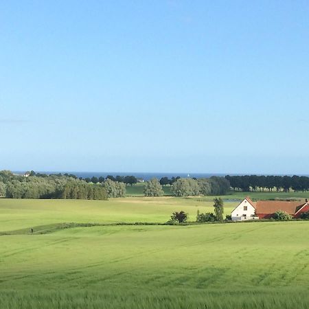 Garden Mellan Slotten Svarte 외부 사진