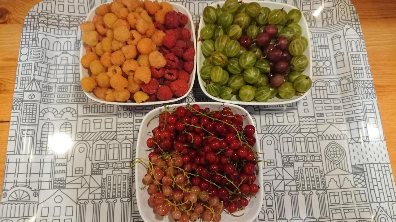 Garden Mellan Slotten Svarte 외부 사진