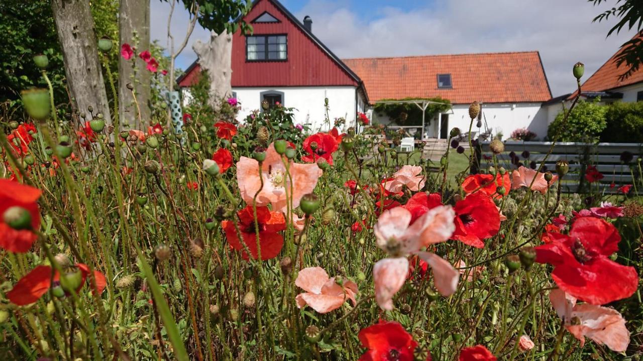 Garden Mellan Slotten Svarte 외부 사진