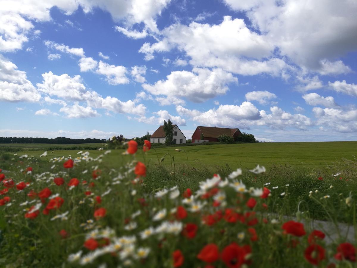 Garden Mellan Slotten Svarte 외부 사진