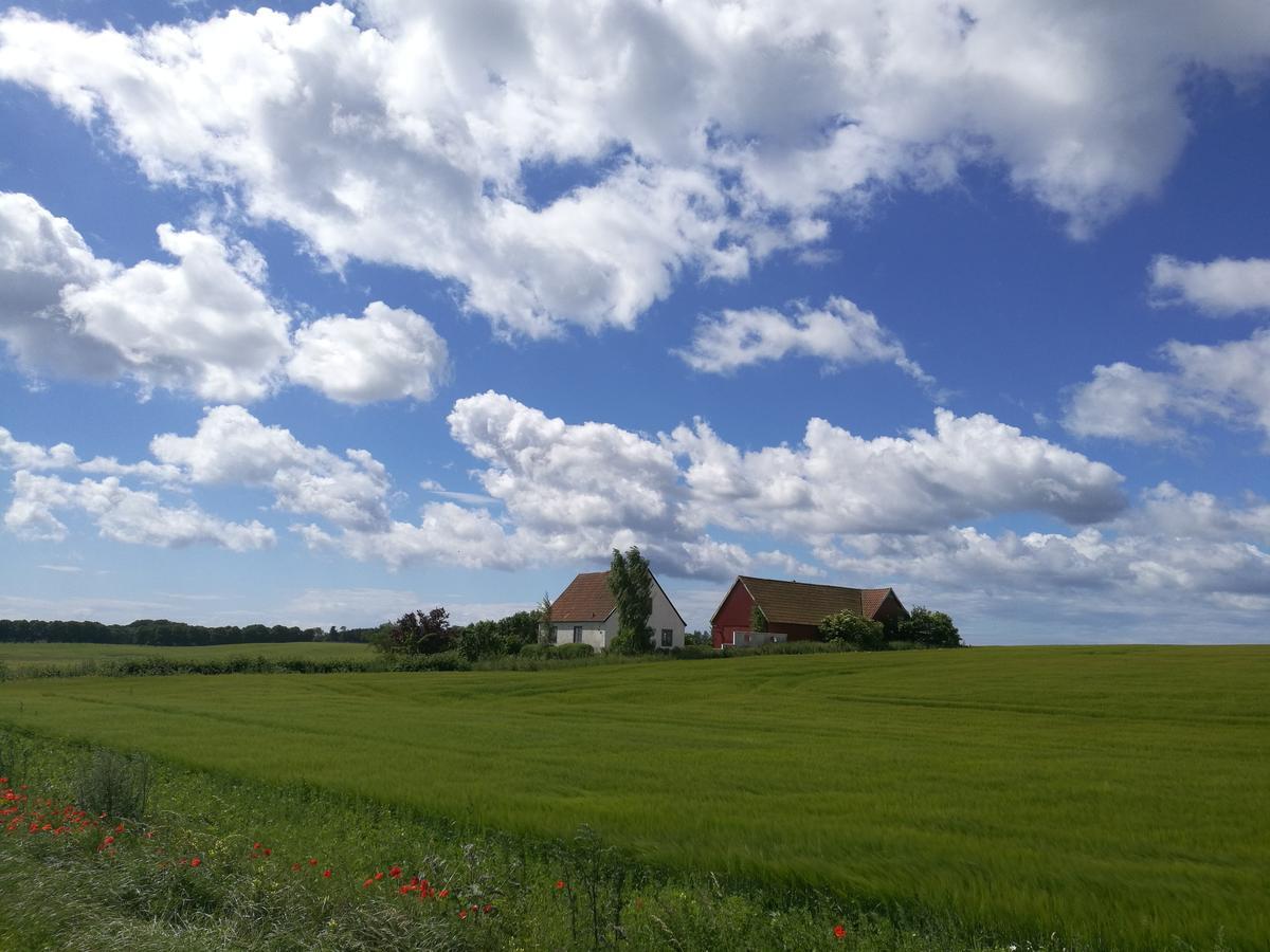 Garden Mellan Slotten Svarte 외부 사진