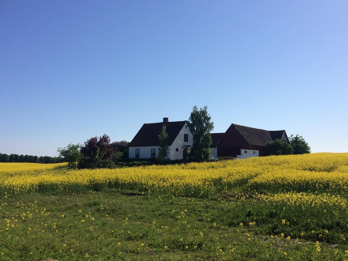 Garden Mellan Slotten Svarte 외부 사진