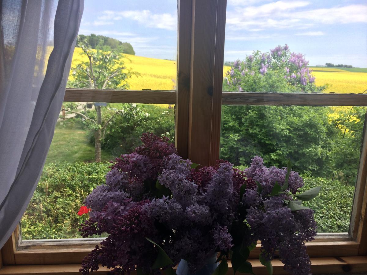 Garden Mellan Slotten Svarte 외부 사진