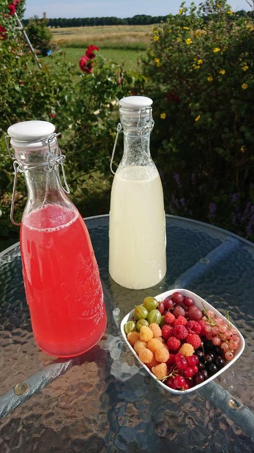 Garden Mellan Slotten Svarte 외부 사진