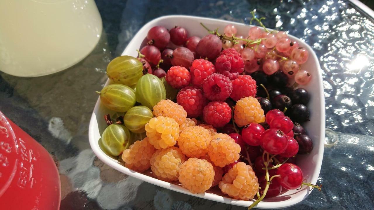 Garden Mellan Slotten Svarte 외부 사진